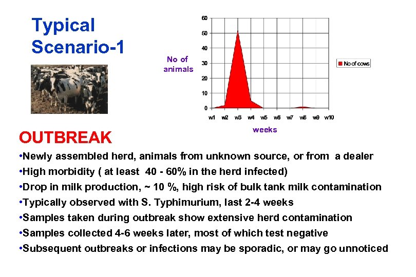 Typical Scenario-1 OUTBREAK No of animals weeks • Newly assembled herd, animals from unknown