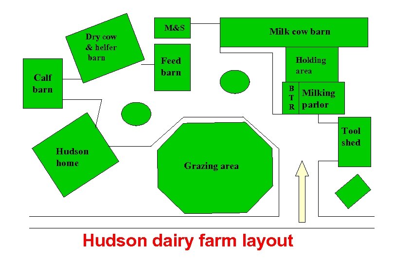 Dry cow & heifer barn Calf barn M&S Milk cow barn Holding area Feed