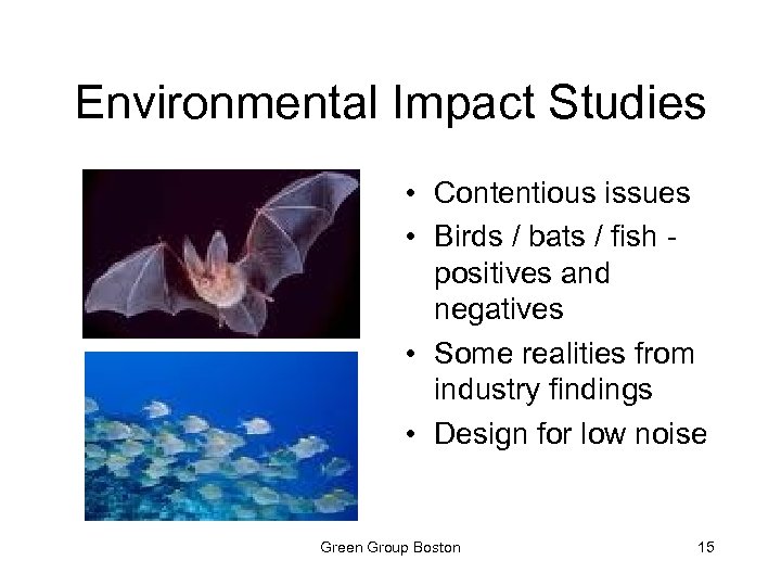 Environmental Impact Studies • Contentious issues • Birds / bats / fish positives and