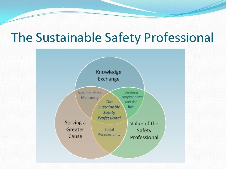 The Sustainable Safety Professional 