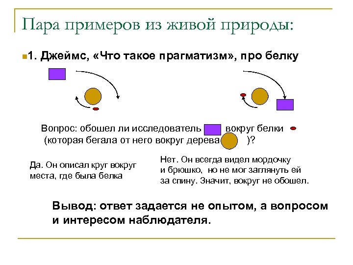 Пара примеров из живой природы: n 1. Джеймс, «Что такое прагматизм» , про белку