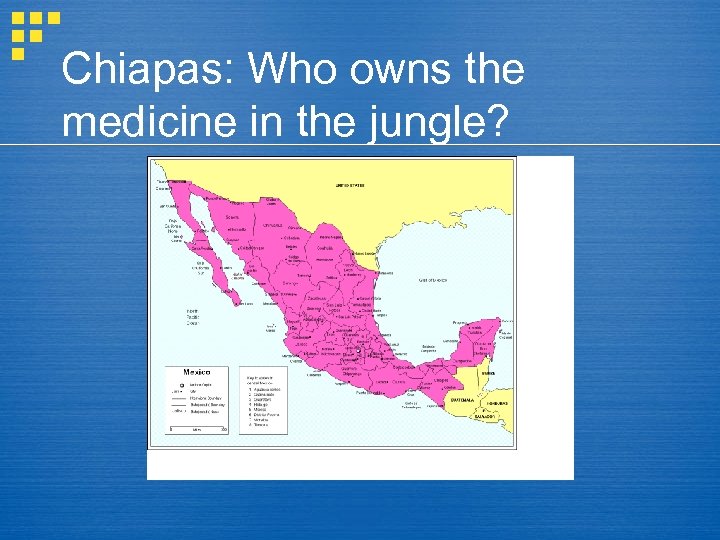 Chiapas: Who owns the medicine in the jungle? 