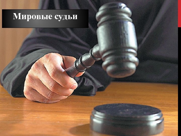 Мировые судьи 