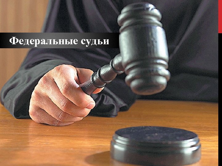 Федеральные судьи 