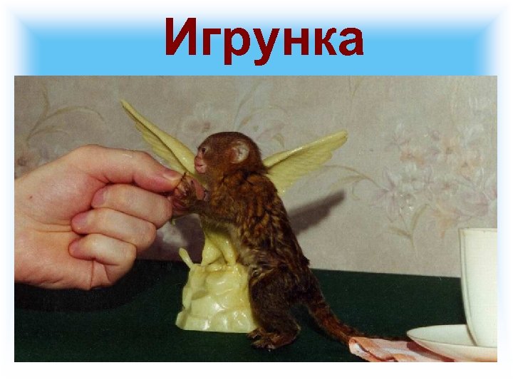 Игрунка 