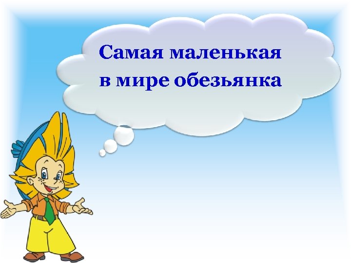 Самая маленькая в мире обезьянка 