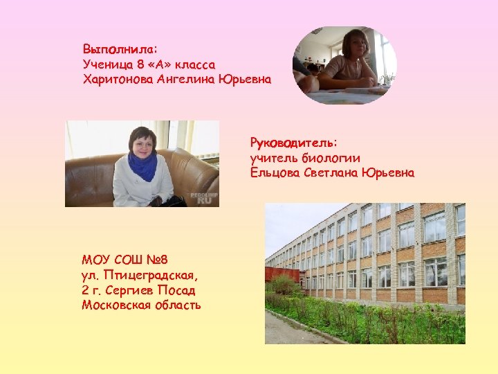 Выполнила: Ученица 8 «А» класса Харитонова Ангелина Юрьевна Руководитель: учитель биологии Ельцова Светлана Юрьевна