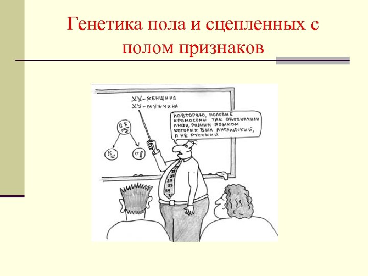 Генетика пола и сцепленных с полом признаков 