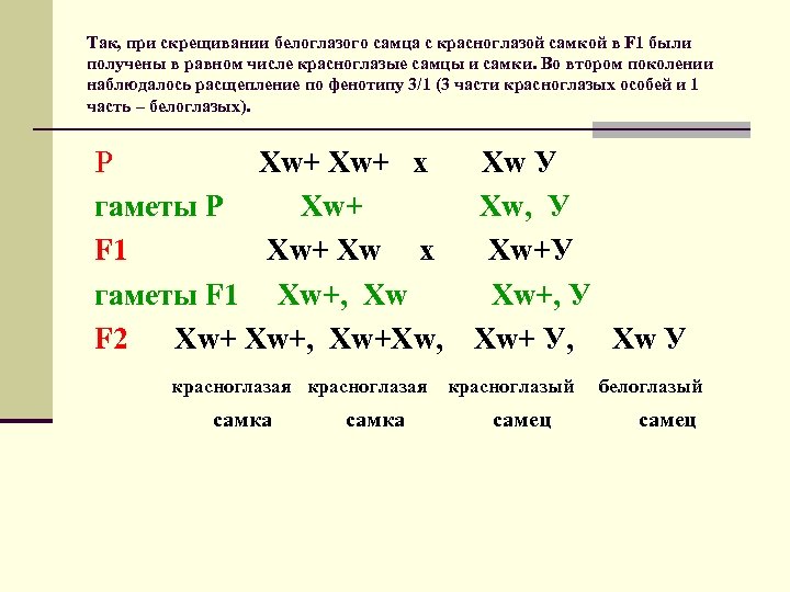 Так, при скрещивании белоглазого самца с красноглазой самкой в F 1 были получены в