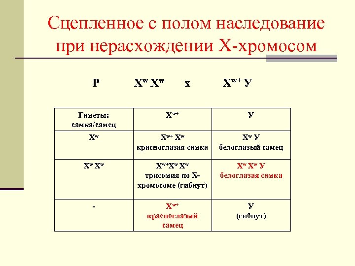 Сцепленное с полом наследование при нерасхождении Х-хромосом Р Хw Хw x Хw+ У Гаметы: