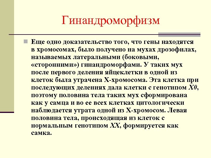 Гинандроморфизм n Еще одно доказательство того, что гены находятся в хромосомах, было получено на