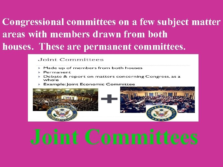 Congressional committees on a few subject matter areas with members drawn from both houses.