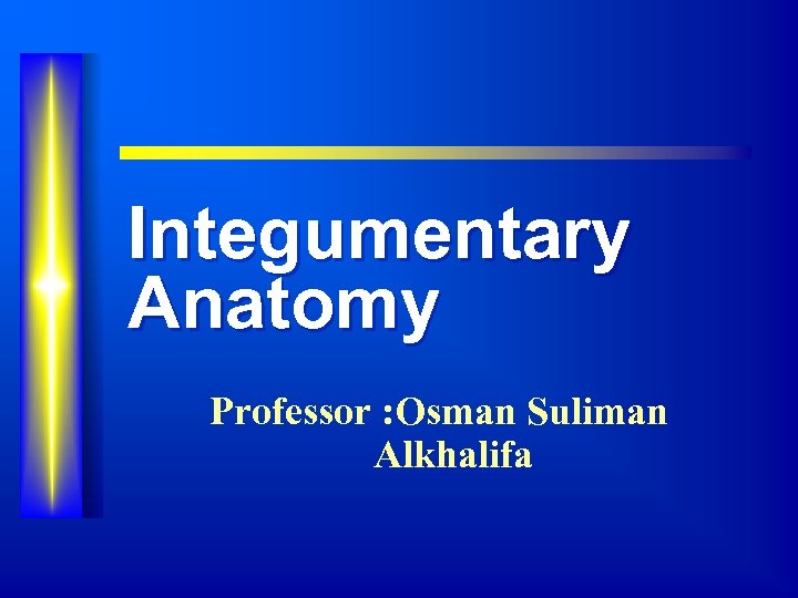 Integumentary Anatomy Professor : Osman Suliman Alkhalifa 