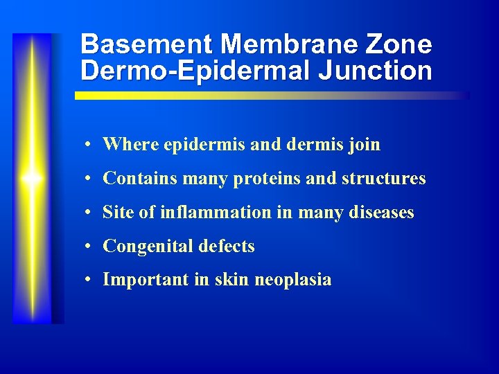 Basement Membrane Zone Dermo-Epidermal Junction • Where epidermis and dermis join • Contains many