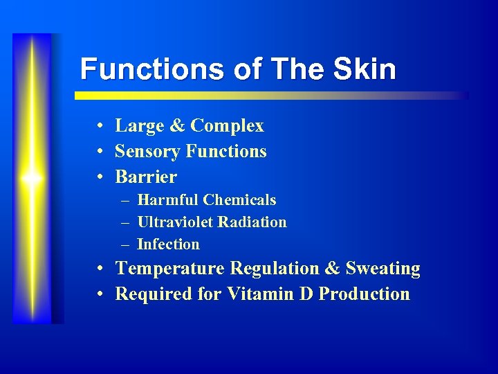 Functions of The Skin • Large & Complex • Sensory Functions • Barrier –