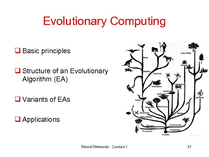 Evolutionary Computing q Basic principles q Structure of an Evolutionary Algorithm (EA) q Variants