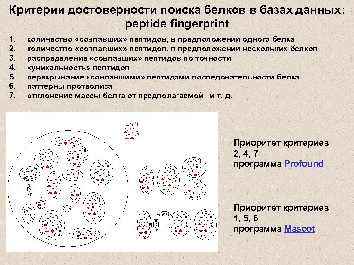 Критерии достоверности поиска белков в базах данных: peptide fingerprint 1. 2. 3. 4. 5.