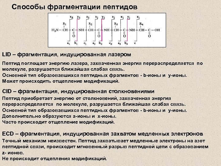 Способы фрагментации пептидов LID – фрагментация, индуцированная лазером Пептид поглощает энергию лазера, захваченная энергия