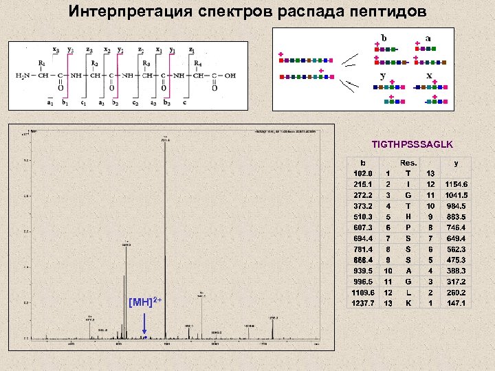 Интерпретация спектров распада пептидов TIGTHPSSSAGLK [MH]2+ 