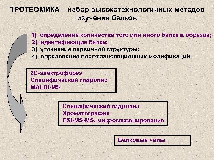ПРОТЕОМИКА – набор высокотехнологичных методов изучения белков 1) 2) 3) 4) определение количества того