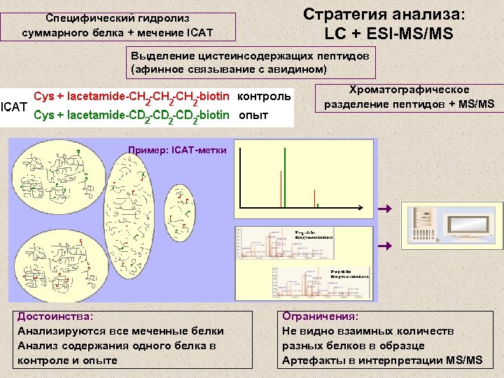 Специфический гидролиз суммарного белка + мечение ICAT Стратегия анализа: LC + ESI-MS/MS Выделение цистеинсодержащих