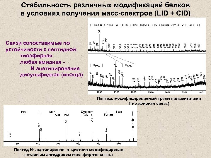 Стабильность различных модификаций белков в условиях получения масс-спектров (LID + CID) Связи сопоставимые по