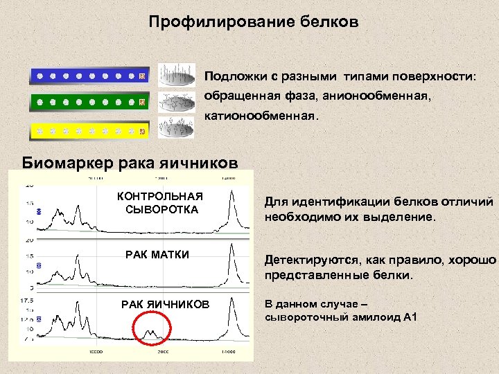 Профилирование белков Подложки с разными типами поверхности: обращенная фаза, анионообменная, катионообменная. Биомаркер рака яичников