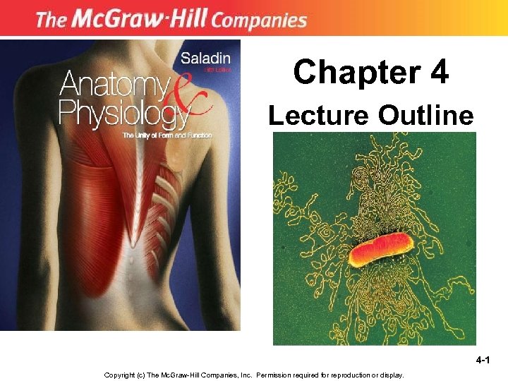 Chapter 4 Lecture Outline 4 -1 Copyright (c) The Mc. Graw-Hill Companies, Inc. Permission