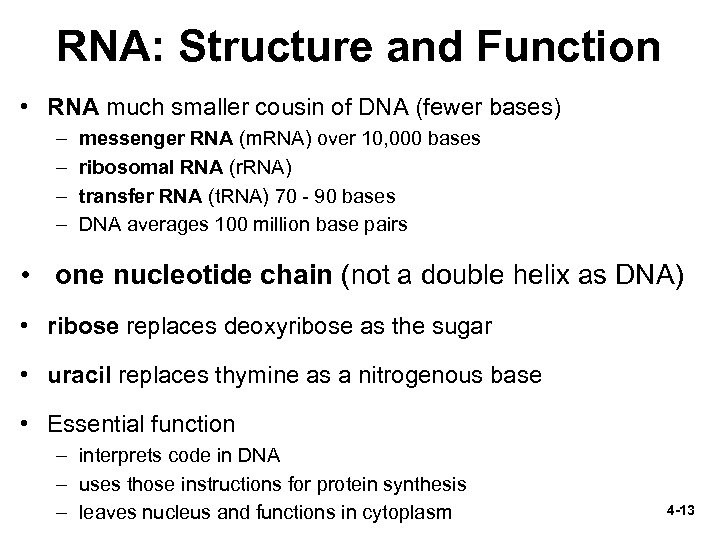 RNA: Structure and Function • RNA much smaller cousin of DNA (fewer bases) –