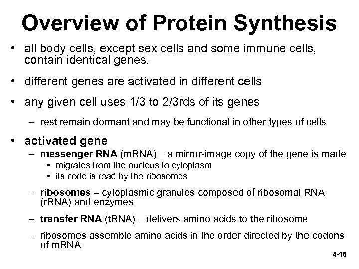 Overview of Protein Synthesis • all body cells, except sex cells and some immune
