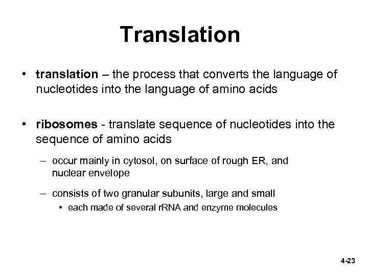 Translation • translation – the process that converts the language of nucleotides into the