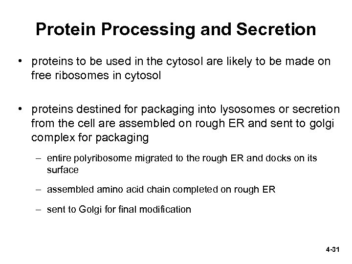 Protein Processing and Secretion • proteins to be used in the cytosol are likely