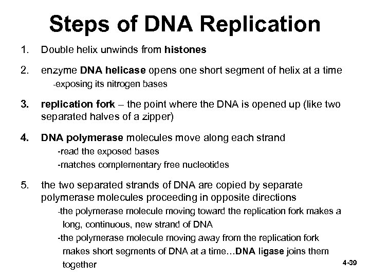 Steps of DNA Replication 1. Double helix unwinds from histones 2. enzyme DNA helicase