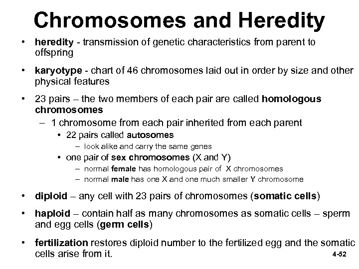 Chromosomes and Heredity • heredity - transmission of genetic characteristics from parent to offspring