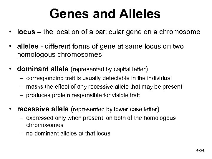 Genes and Alleles • locus – the location of a particular gene on a