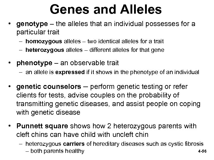 Genes and Alleles • genotype – the alleles that an individual possesses for a
