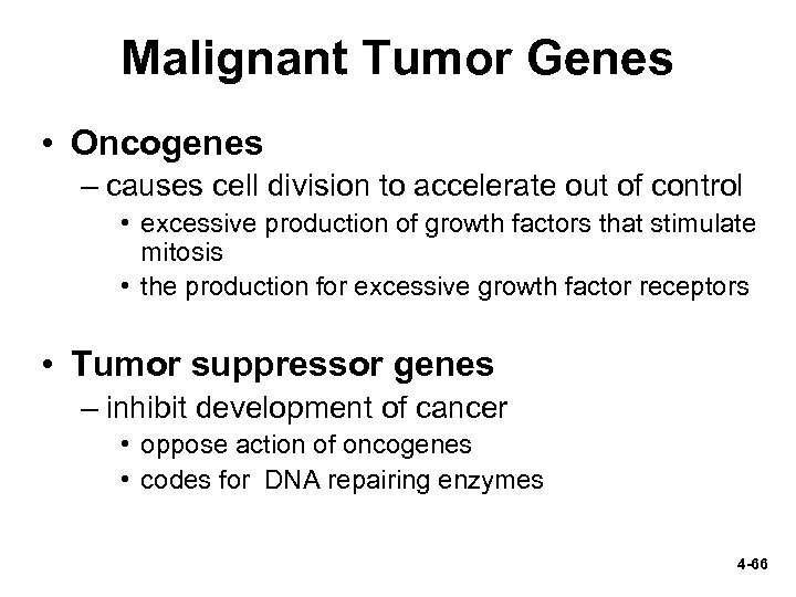 Malignant Tumor Genes • Oncogenes – causes cell division to accelerate out of control
