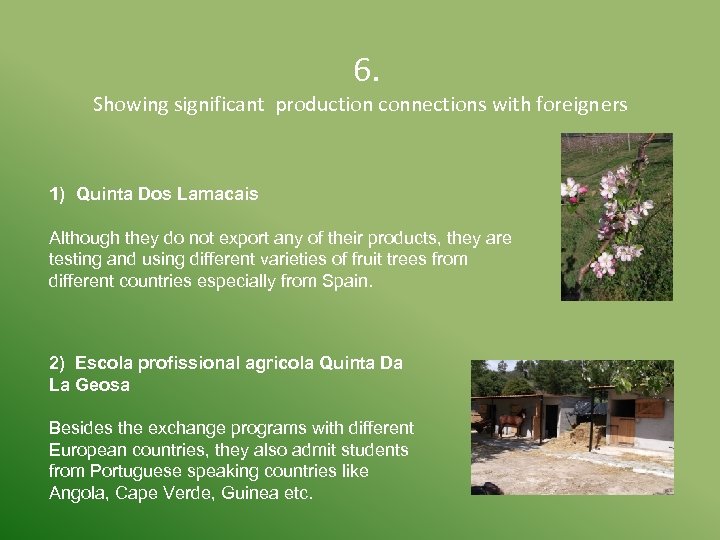  6. Showing significant production connections with foreigners 1) Quinta Dos Lamacais Although they