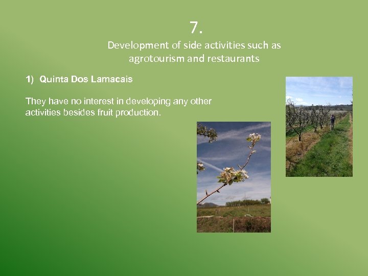  7. Development of side activities such as agrotourism and restaurants 1) Quinta Dos