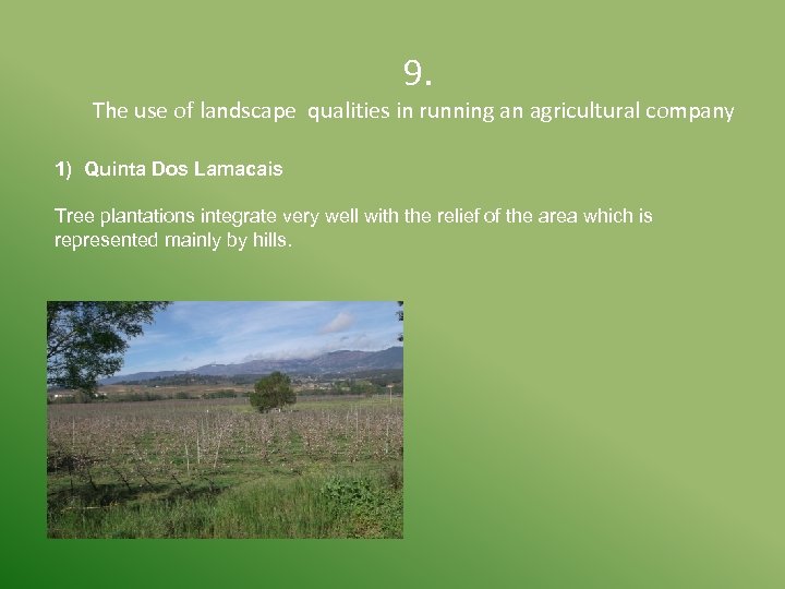  9. The use of landscape qualities in running an agricultural company 1) Quinta