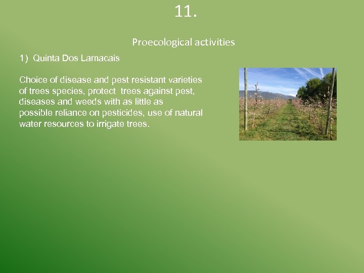  11. 1) Quinta Dos Lamacais Proecological activities Choice of disease and pest resistant