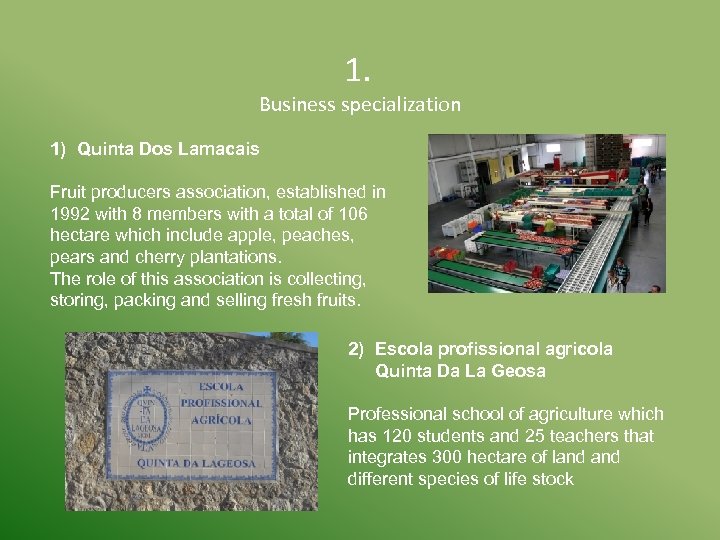  1. Business specialization 1) Quinta Dos Lamacais Fruit producers association, established in 1992