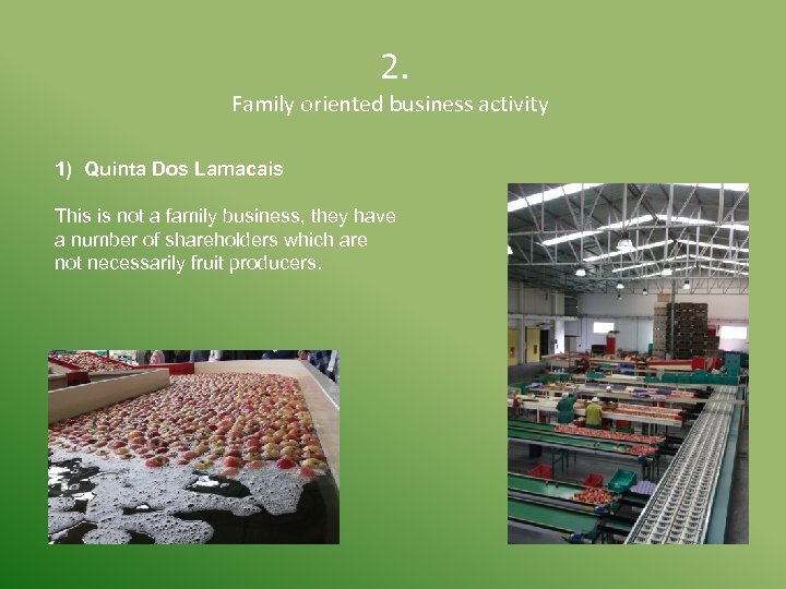  2. Family oriented business activity 1) Quinta Dos Lamacais This is not a