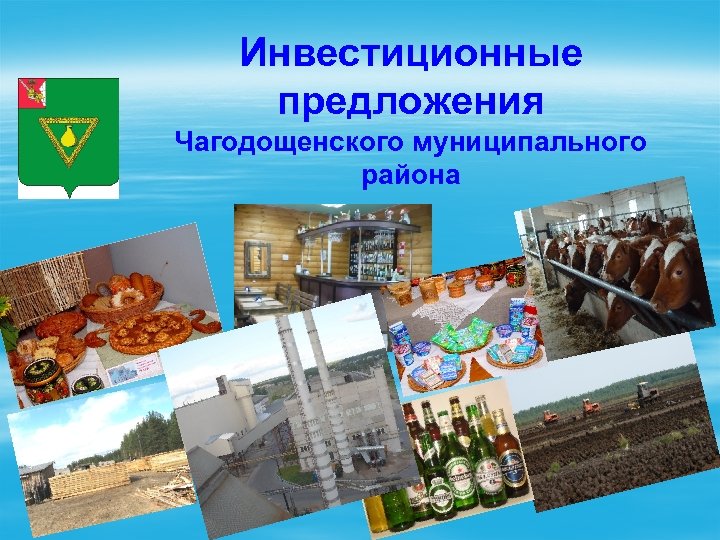 Инвестиционные предложения Чагодощенского муниципального района 