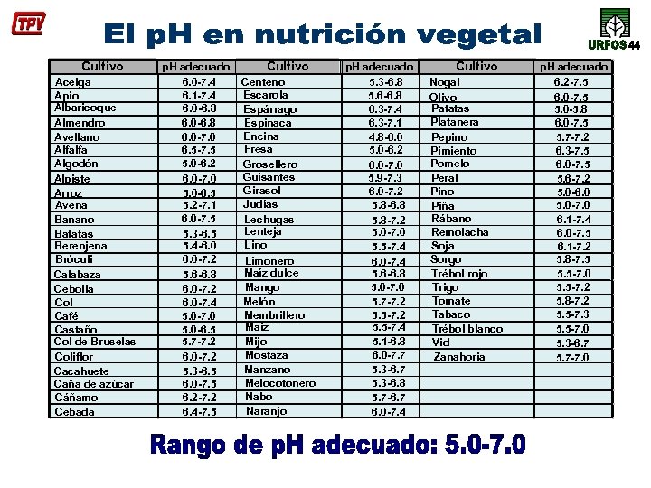 Cultivo Acelga Apio Albaricoque Almendro Avellano Alfalfa Algodón Alpiste Arroz Avena Banano Batatas Berenjena