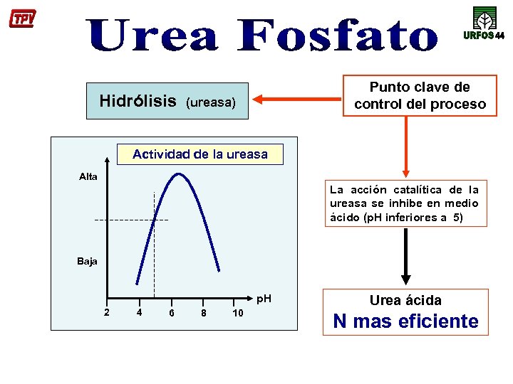 Hidrólisis Punto clave de control del proceso (ureasa) Actividad de la ureasa Alta La