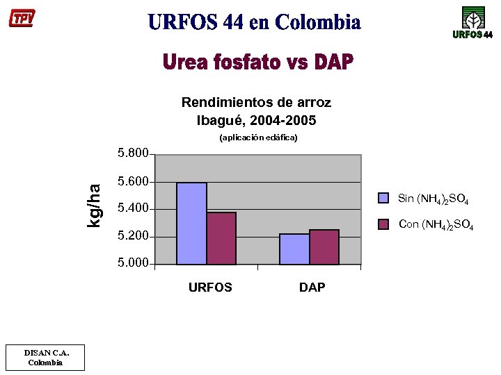 Rendimientos de arroz Ibagué, 2004 -2005 (aplicación edáfica) kg/ha 5. 800 5. 600 Sin