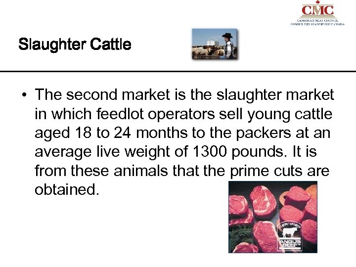 Slaughter Cattle • The second market is the slaughter market in which feedlot operators