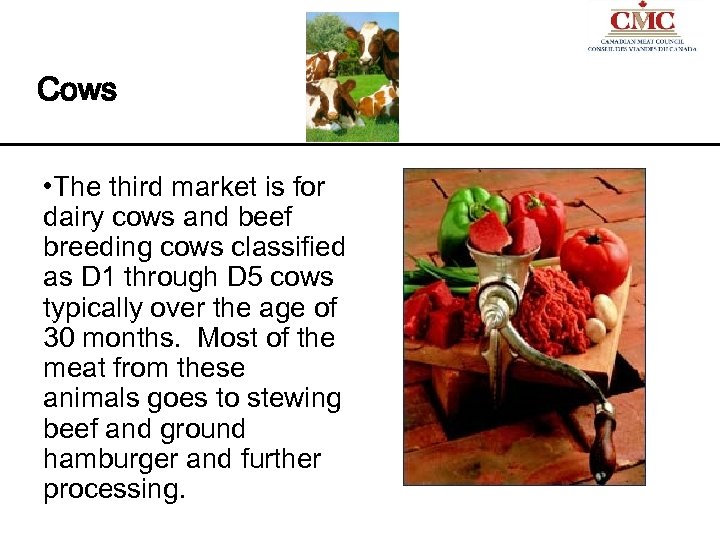 Cows • The third market is for dairy cows and beef breeding cows classified