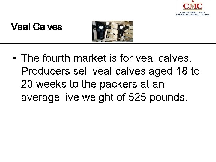 Veal Calves • The fourth market is for veal calves. Producers sell veal calves